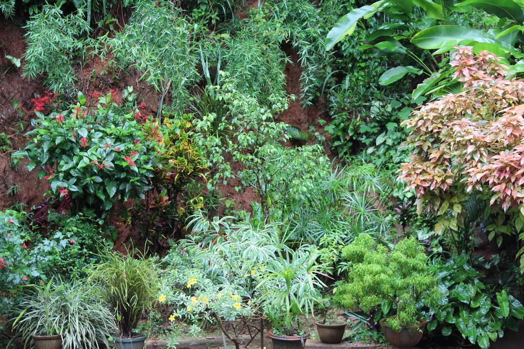 Anniewatte House Apartment Kandy Luaran gambar